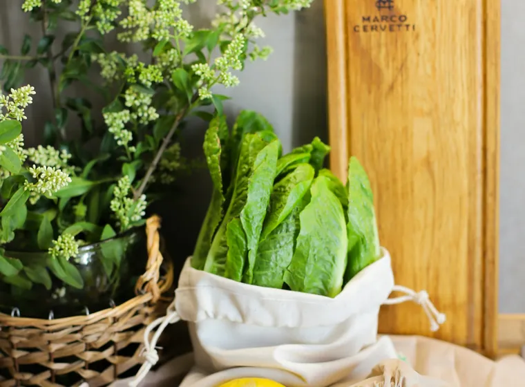 Fresh groceries on a kitchen counter