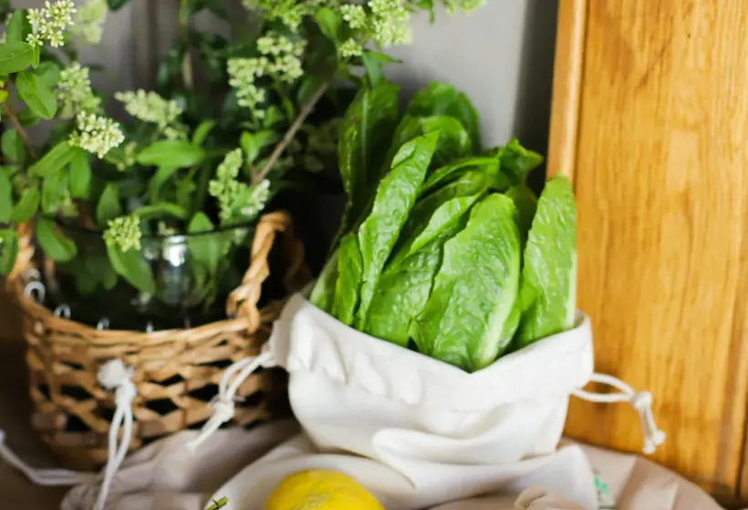 Fresh groceries being packed into a paper bag at a kitchen counter